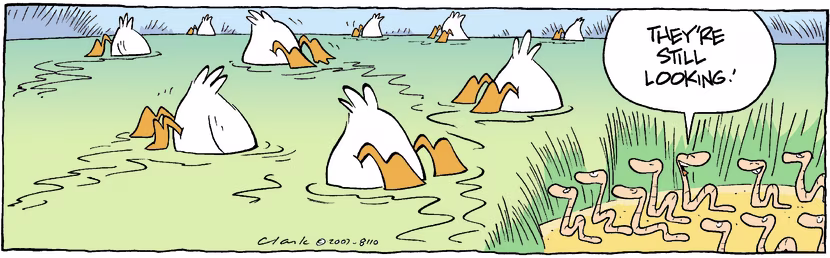 Swamp Cartoon - Worms Outwitted DucksSeptember 6, 2007