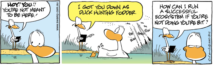 Swamp Cartoon - Eco 2September 8, 2007