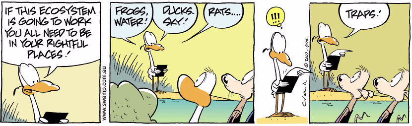 Swamp Cartoon - Eco 4September 11, 2007