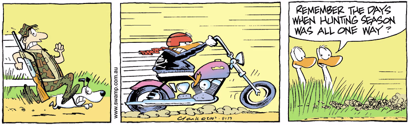 Swamp Cartoon - Duck Hunting in reverseOctober 10, 2007