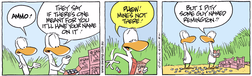 Swamp Cartoon - Duck Hunting in reverse 3October 12, 2007