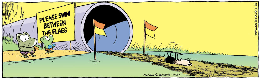 Swamp Cartoon - Swimming FunNovember 7, 2007