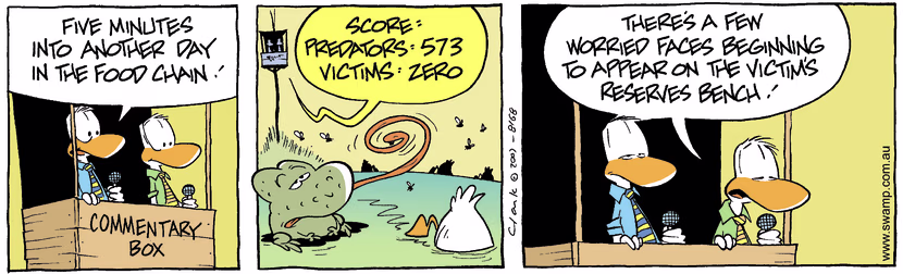 Swamp Cartoon - Commentary Box 2November 13, 2007