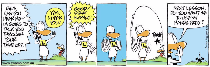 Swamp Cartoon - Communication Fun 3November 26, 2007