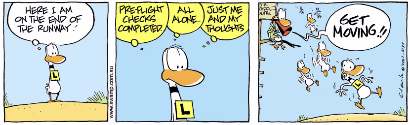 Swamp Cartoon - Wake up callDecember 14, 2007