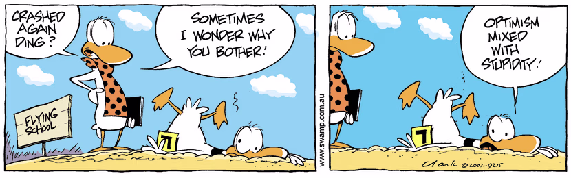 Swamp Cartoon - Up Up and Down with a thudJanuary 5, 2008