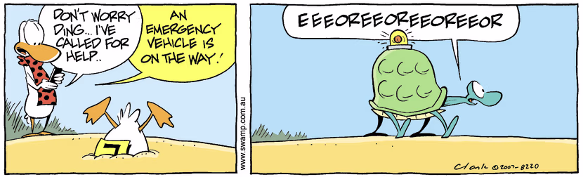 Swamp Cartoon - Emergency 1January 11, 2008