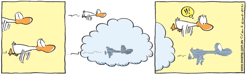 Swamp Cartoon - Flying PhantomJanuary 29, 2008