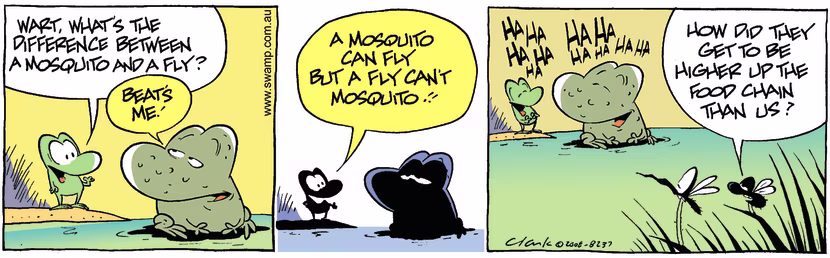 Swamp Cartoon - The Simple LifeJanuary 31, 2008