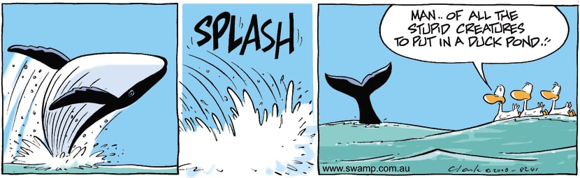 Swamp Cartoon - All at Sea 3February 5, 2008