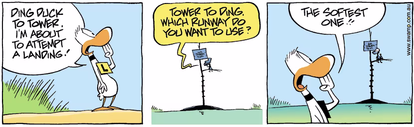 Swamp Cartoon - Ding Duck Soft Landing ComicFebruary 16, 2008