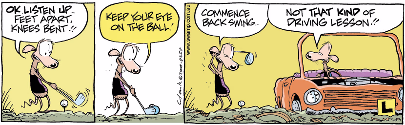 Swamp Cartoon - Hard DrivingFebruary 19, 2008