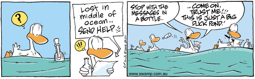 Swamp Cartoon - All at sea 1February 27, 2008