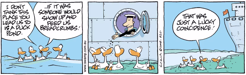 Swamp Cartoon - All at sea 2February 28, 2008