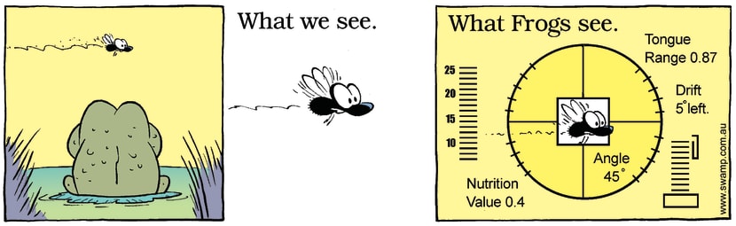 Swamp Cartoon - How they see itMarch 15, 2008