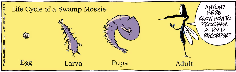 Swamp Cartoon - Life Cycle of a Swamp MossieApril 2, 2008