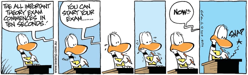 Swamp Cartoon - Ready Seady gooo!!!!!!!!April 7, 2008