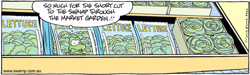 Swamp Cartoon - In the Bag 1May 7, 2008