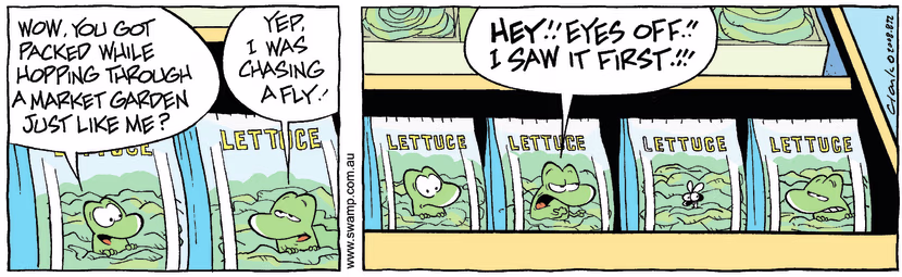 Swamp Cartoon - In the Bag 3May 9, 2008