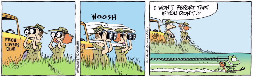 Swamp Cartoon - Mobile Frog 2May 15, 2008