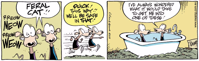 Swamp Cartoon - Fear Factor 2May 29, 2008