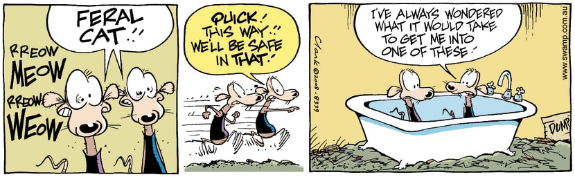 Swamp Cartoon - Fear Factor 2May 29, 2008
