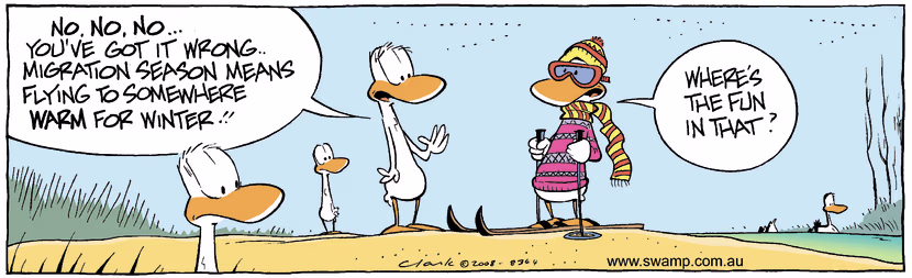 Swamp Cartoon - Holiday PlansJune 4, 2008