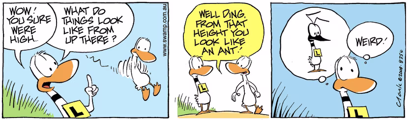 Swamp Cartoon - Birds Eye ViewJune 16, 2008