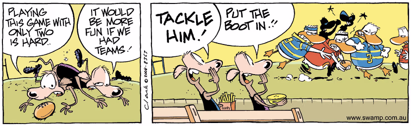 Swamp Cartoon - Footy Fun 3June 26, 2008
