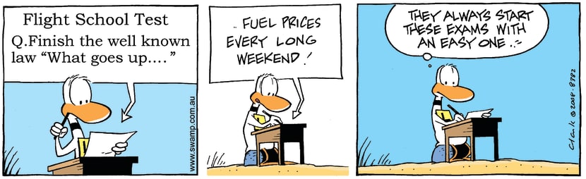 Swamp Cartoon - Ding Duck Test ComicJuly 18, 2008
