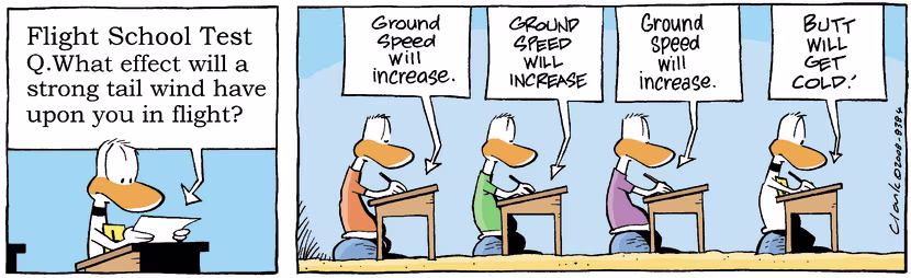 Swamp Cartoon - Ding Duck Test ComicJuly 21, 2008