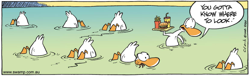 Swamp Cartoon - Lucky DiveJuly 25, 2008
