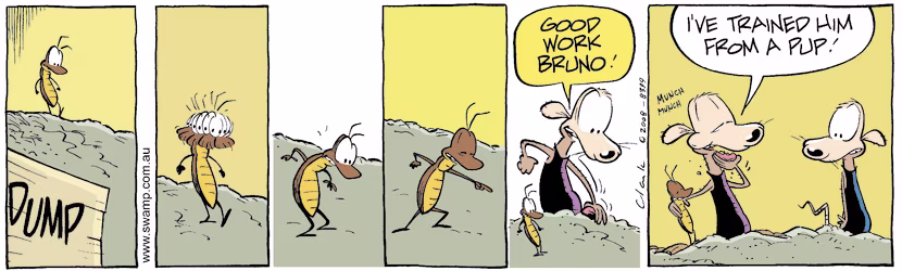 Swamp Cartoon - Good Nose Bruno CockroachAugust 7, 2008