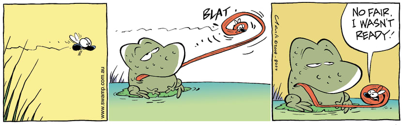 Swamp Cartoon - Playing the Game 2August 13, 2008