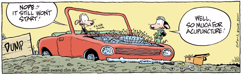 Swamp Cartoon - Natural MethodsAugust 15, 2008