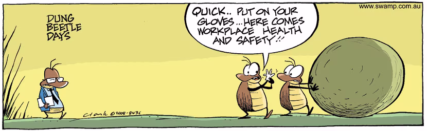 Swamp Cartoon - Dung Beetle Days 1September 19, 2008