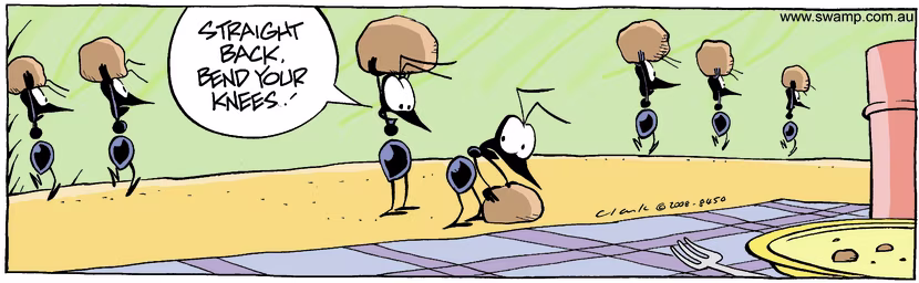 Swamp Cartoon - Work Health and SafetyOctober 6, 2008