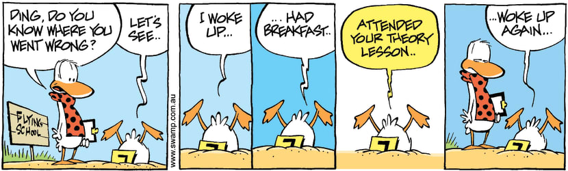 Swamp Cartoon - Flight Instructor Lesson ComicOctober 14, 2008