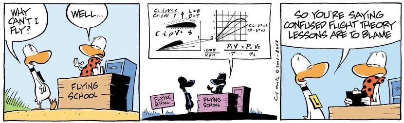 Swamp Cartoon - Flying LanguageOctober 21, 2008