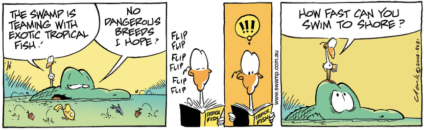Swamp Cartoon - Exotic Fun 1November 11, 2008