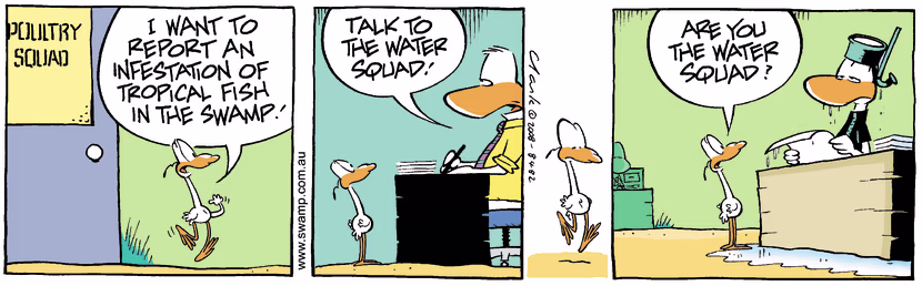 Swamp Cartoon - Exotic Fun 2November 12, 2008
