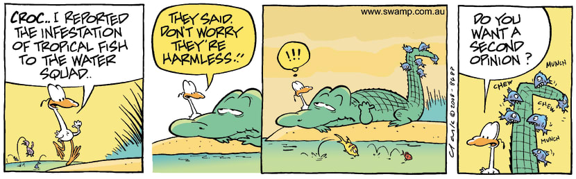 Swamp Cartoon - Exotic Fun 3November 13, 2008