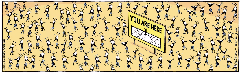 Swamp Cartoon - You are where?November 15, 2008