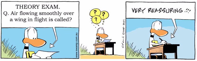 Swamp Cartoon - Ding Duck Theory Exam ComicNovember 24, 2008