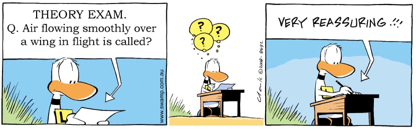Swamp Cartoon - Ding Duck Theory Exam ComicNovember 24, 2008