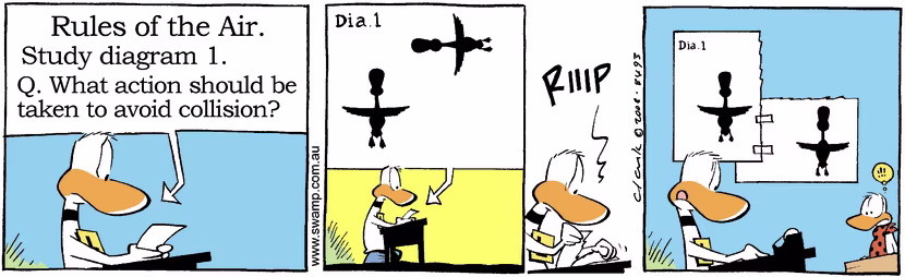 Swamp Cartoon - Ding Duck Air Rules ComicNovember 25, 2008