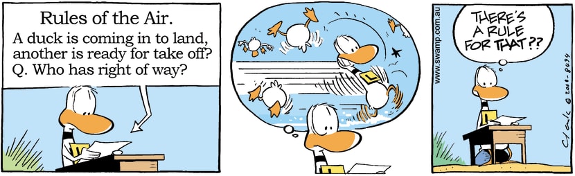 Swamp Cartoon - Ding Duck Rules of the Air ComicNovember 26, 2008