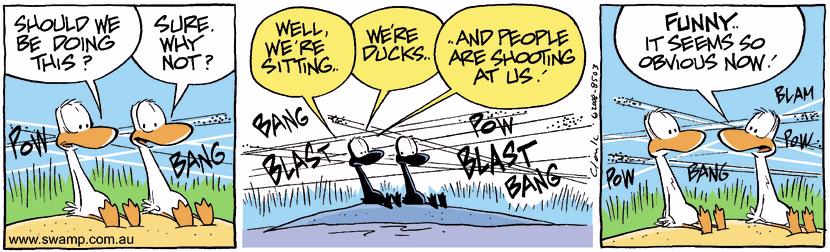 Swamp Cartoon - Poor AimDecember 6, 2008