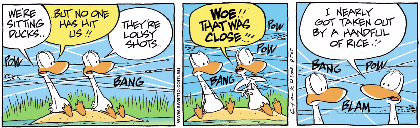 Swamp Cartoon - Poor Aim 3December 9, 2008