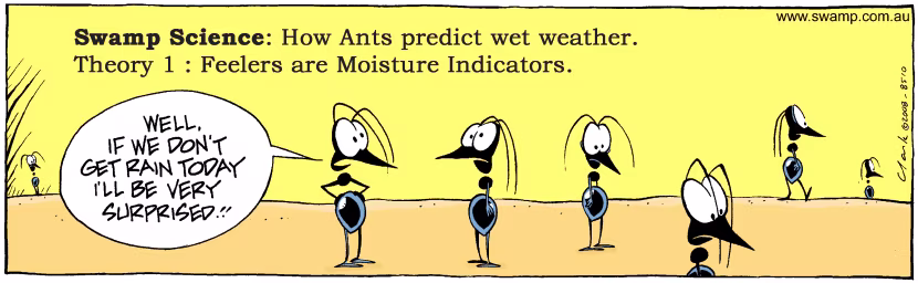 Swamp Cartoon - Swamp Science 1December 15, 2008